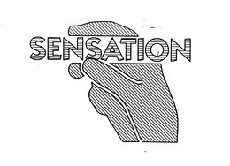SENSATION trademark