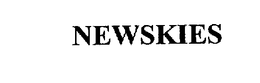NEWSKIES trademark