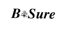 B SURE trademark