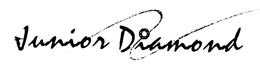 JUNIOR DIAMOND trademark