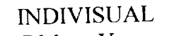 INDIVISUAL trademark