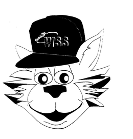 WSS trademark