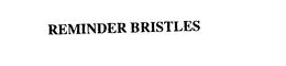 REMINDER BRISTLES trademark