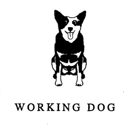 WORKING DOG trademark