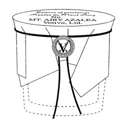 V VOTIVO trademark