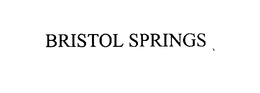 BRISTOL SPRINGS trademark