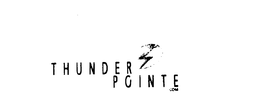 THUNDERPOINTE trademark