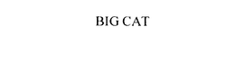 BIG CAT trademark