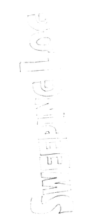 SWEEPING LOG trademark