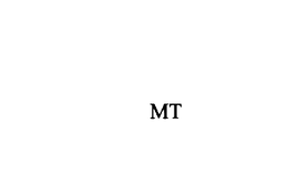 MT trademark
