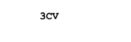 3CV trademark