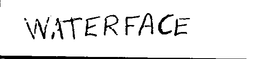 WATERFACE trademark