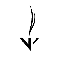 V trademark