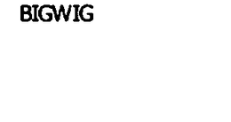 BIGWIG trademark