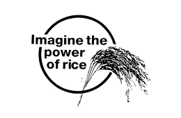 IMAGINE THE POWER OF RICE trademark