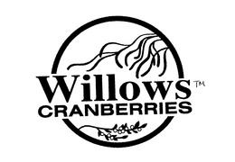 WILLOWS CRANBERRIES trademark