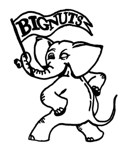 BIGNUTS trademark