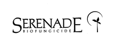 SERENADE BIOFUNGICIDE trademark