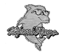 MIAMI RAYS trademark