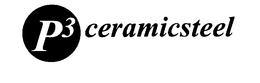 P3 CERAMICSTEEL trademark