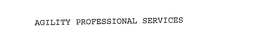 AGILITY PROFESSIONAL SERVICES trademark