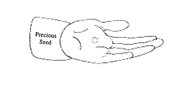 PRECIOUS SEED trademark