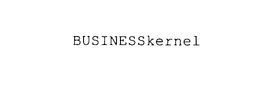 BUSINESSKERNEL trademark