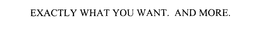 EXACTLY WHAT YOU WANT. AND MORE. trademark