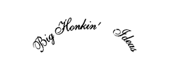 BIG HONKIN' IDEAS trademark