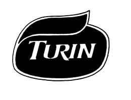 TURIN trademark