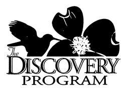 THE DISCOVERY PROGRAM trademark