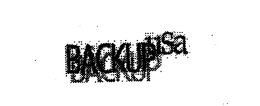 BACKUP USA trademark