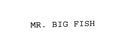 MR. BIG FISH trademark