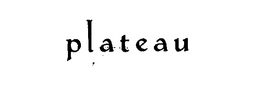 PLATEAU trademark