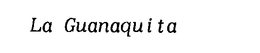 LA GUANAQUITA trademark