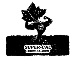 S SUPER-CAL LIQUID CALCIUM trademark
