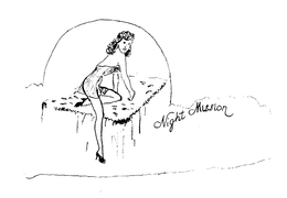 NIGHT MISSION trademark