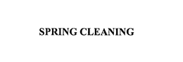 SPRING CLEANING trademark