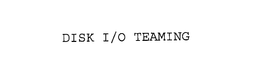DISK I/O TEAMING trademark
