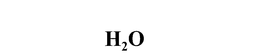 H20 trademark