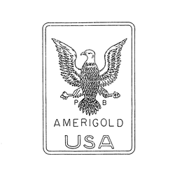 P B AMERIGOLD USA trademark