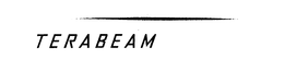 TERABEAM trademark