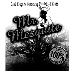 REAL MESQUITE SEASONING FOR GRILLED MEATS trademark
