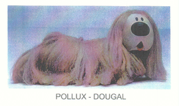 POLLUX - DOUGAL trademark