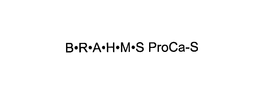 B-R-A-H-M-S PROCA-S trademark