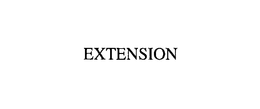 EXTENSION trademark