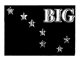 BIG DIPPERS trademark