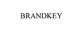 BRANDKEY trademark