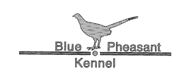 BLUE PHEASANT KENNEL trademark