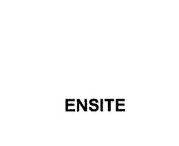 ENSITE trademark